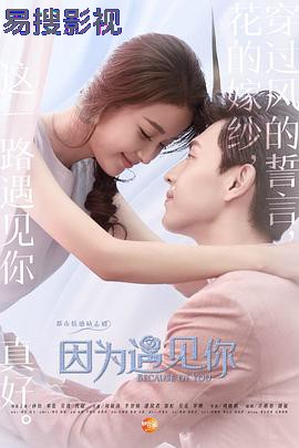 因为遇见你 国产剧在线观看